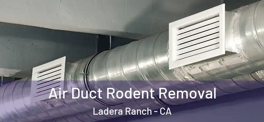  Air Duct Rodent Removal Ladera Ranch - CA