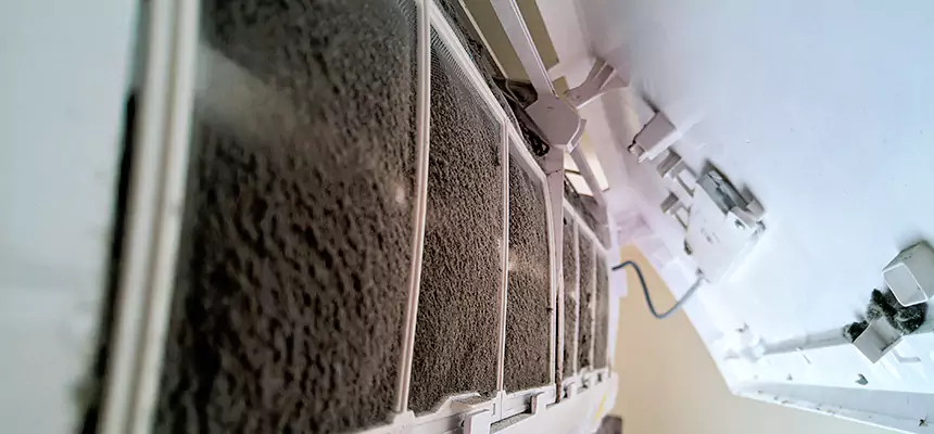 Preventive Air Duct Bacteria Removal in Ladera Ranch