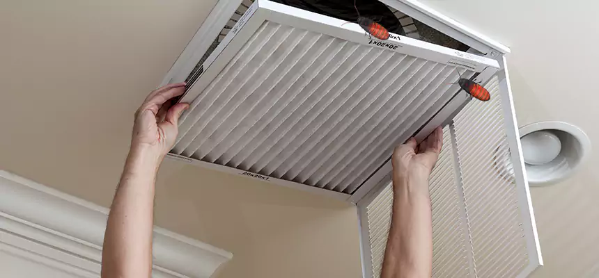 Preventive Cockroach-Proofing for Ducts in Ladera Ranch