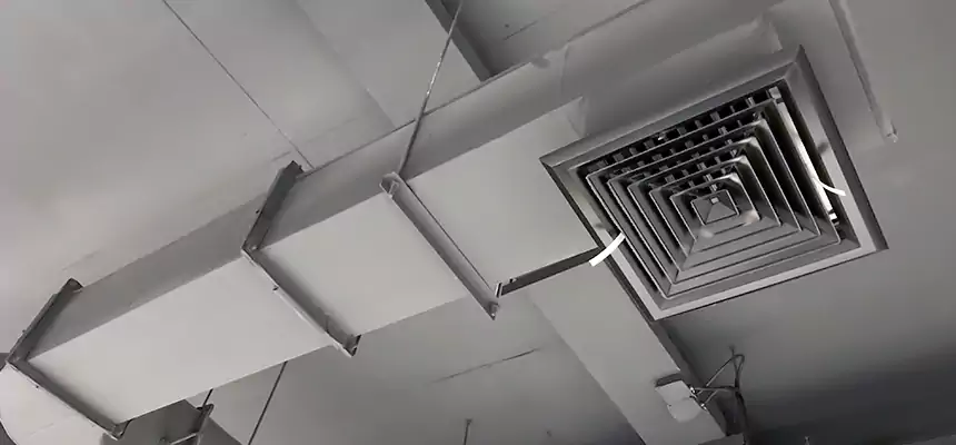 Our Pest Removal From Ducts Services in Ladera Ranch, CA