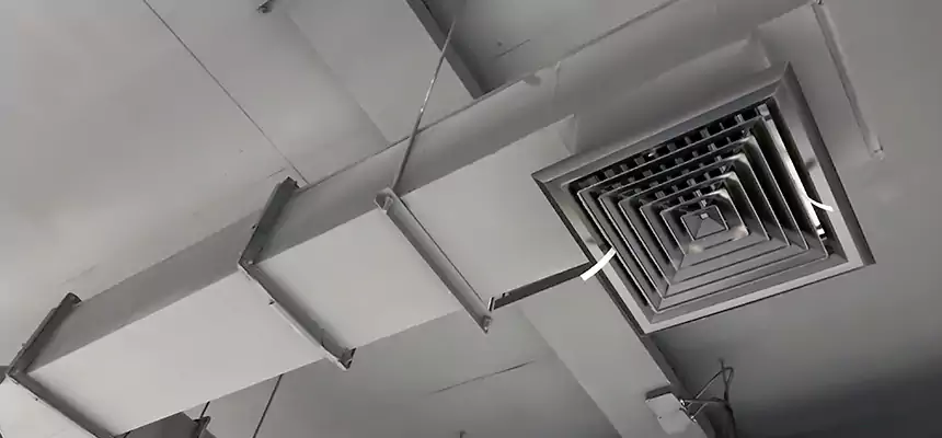 Our Rodent Droppings In Vents Services in Ladera Ranch, CA