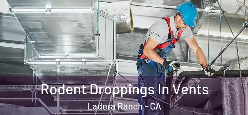  Rodent Droppings In Vents Ladera Ranch - CA