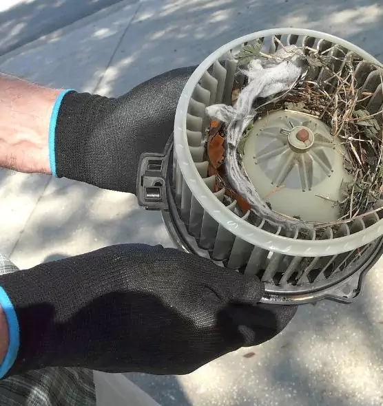 About Air Duct Mice Removal in Ladera Ranch, CA