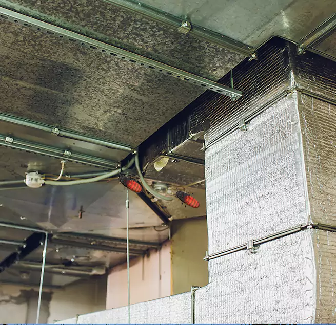 Why Homeowners & Businesses Trust Us in Ladera Ranch, CA?