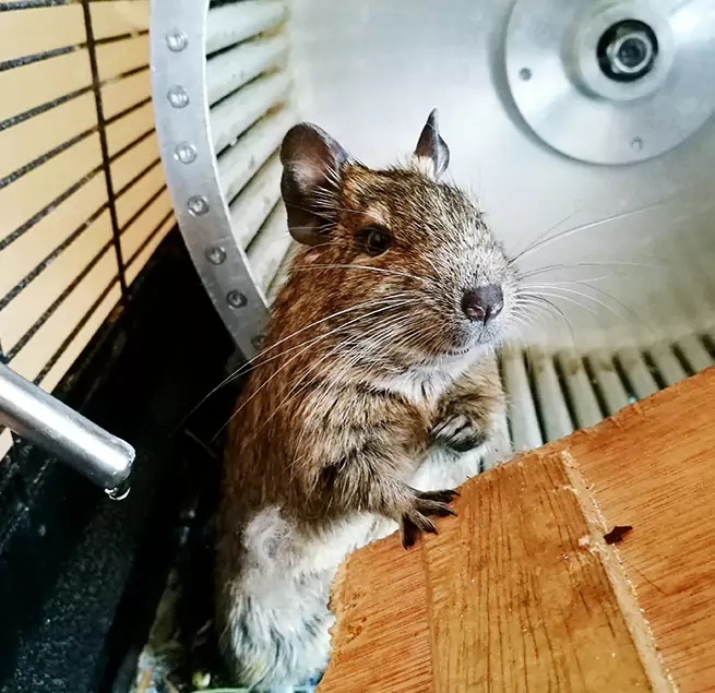 Why Homeowners & Businesses Trust Us Ladera Ranch, CA