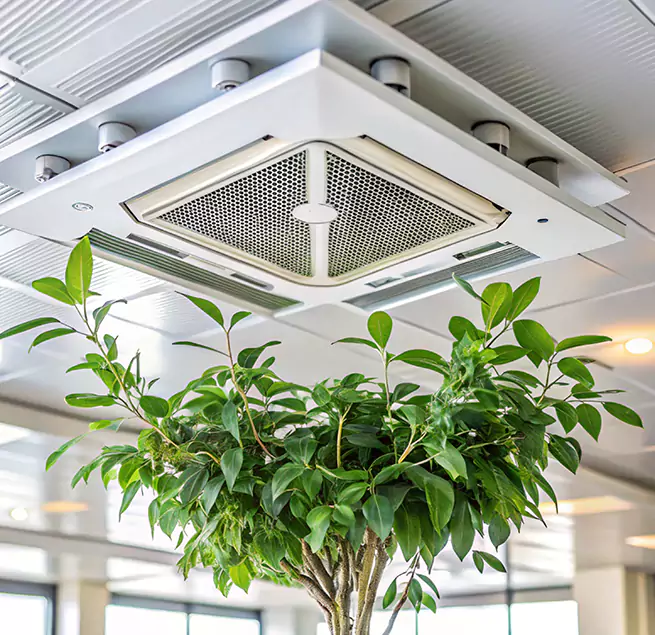 Why Homeowners & Businesses Trust Us in Ladera Ranch, CA?